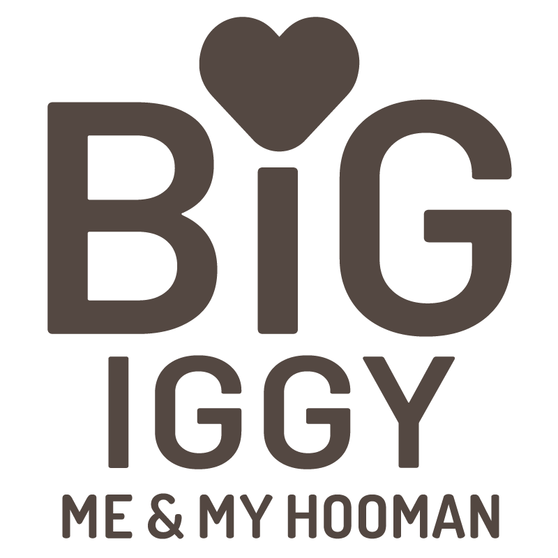 BigIGGY – Me & My Hooman